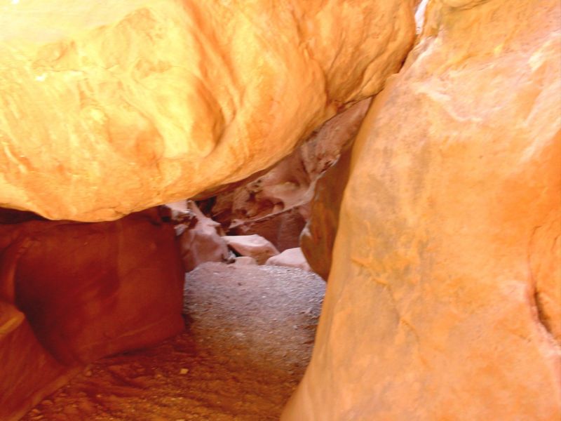 04160302LittleWildHorse (1061)